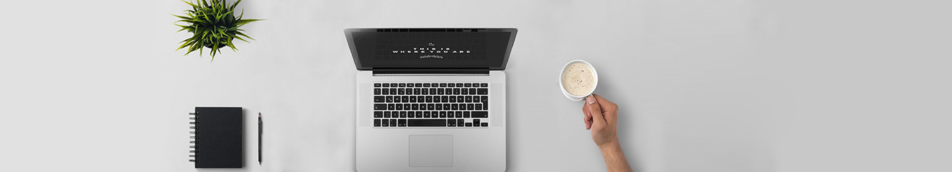 Web Development Company Kerala