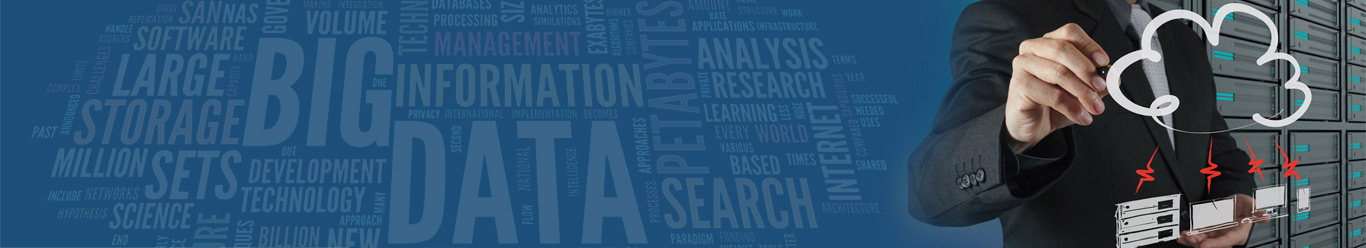 Web Development Company Kerala